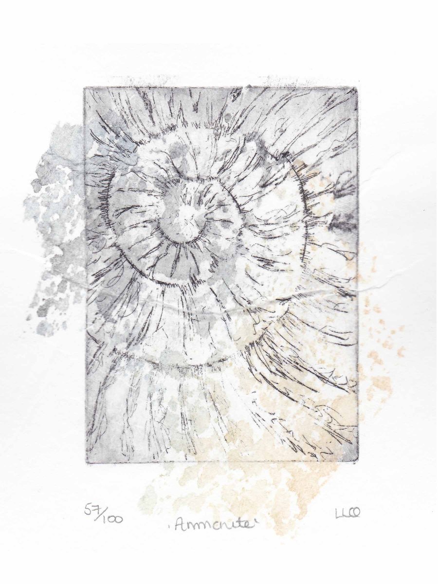 Etching no.57 of an ammonite fossil with chine colle in an edition of 100