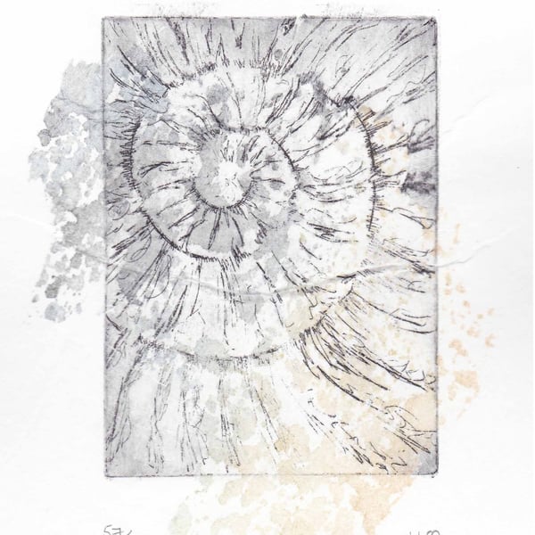 Etching no.57 of an ammonite fossil with chine colle in an edition of 100