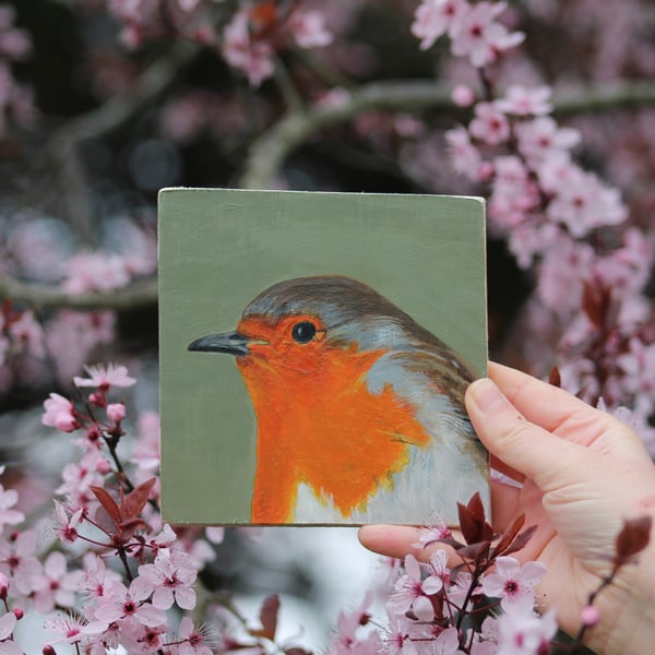 Robin - original acrylic painting