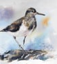 Sandpiper, Professional Giclée Print. - Image 1