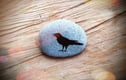 Ravens