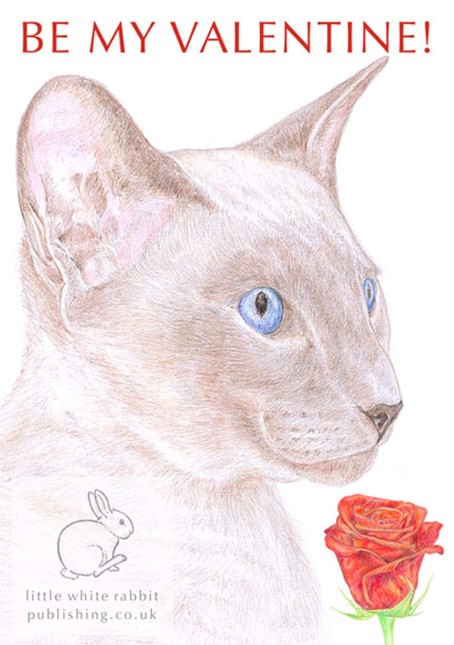 Kim the Siamese Cat - Valentine Card