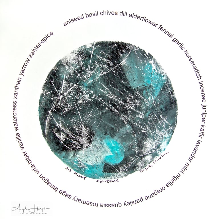 Unframed Monoprint Skeletonised Leaves A-Z Herbs Circlet Aquamarine 
