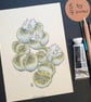 Lithops plant drawing, small stone plant artwork, botanical wall art - Image 9