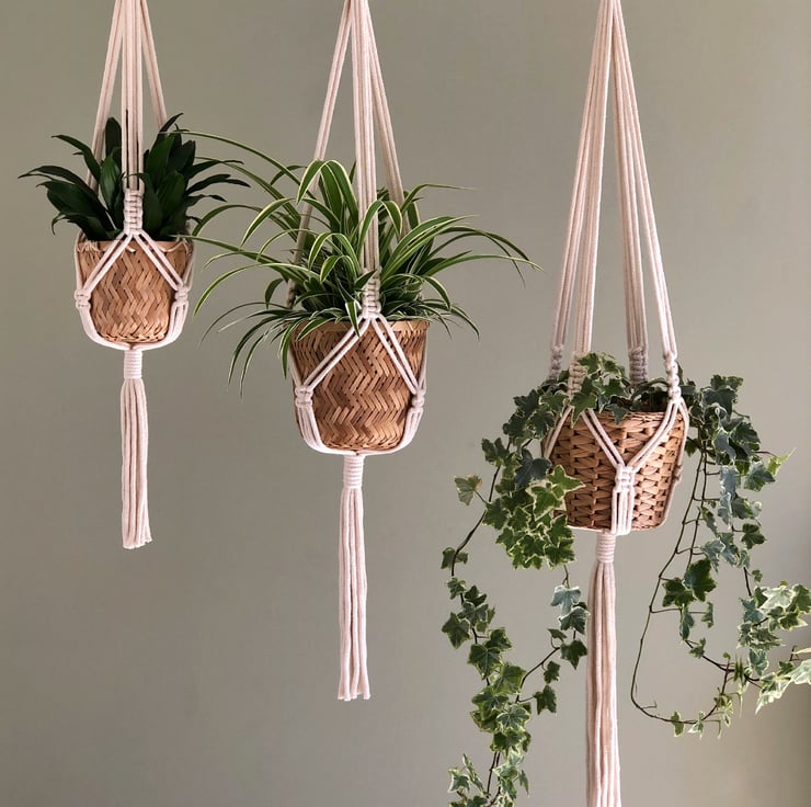 Gifts for Houseplant Lovers