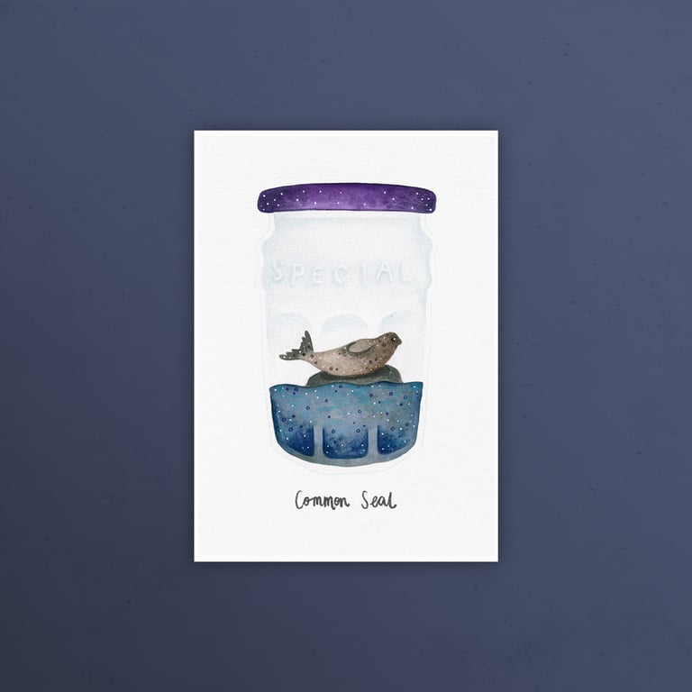 Common seal, Gruinard Bay, Highland Wildlife, A5 art print
