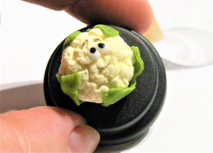 Pet Cauliflower, Pet Veg, Veggie lover, Gift for gardener