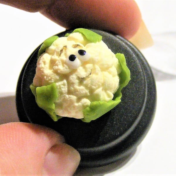 Pet Cauliflower, Pet Veg, Veggie lover, Gift for gardener