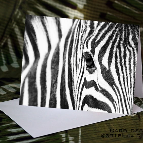 Exclusive Beautiful Zebra Greetings Card