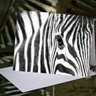 Exclusive Beautiful Zebra Greetings Card