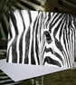 Exclusive Beautiful Zebra Greetings Card