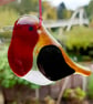 Fused Glass Robert Robin - Image 1