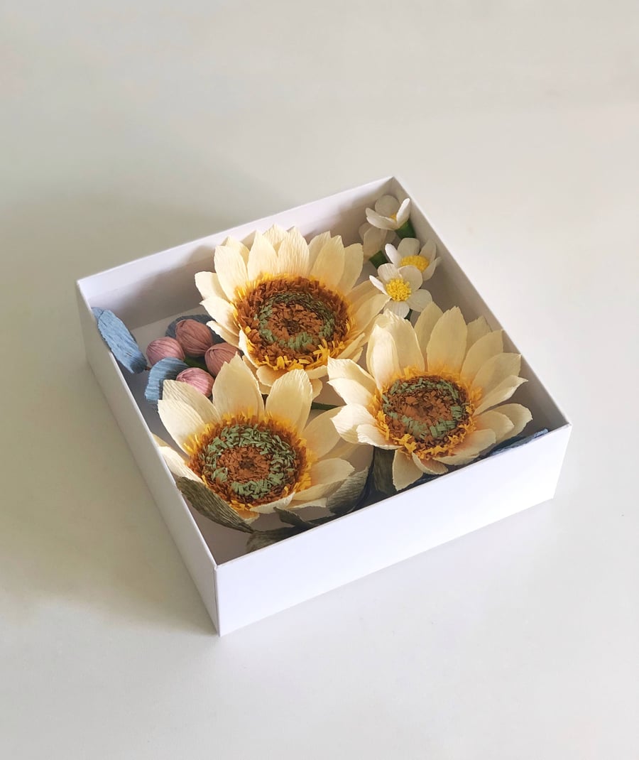 Capture the Sun in a Box