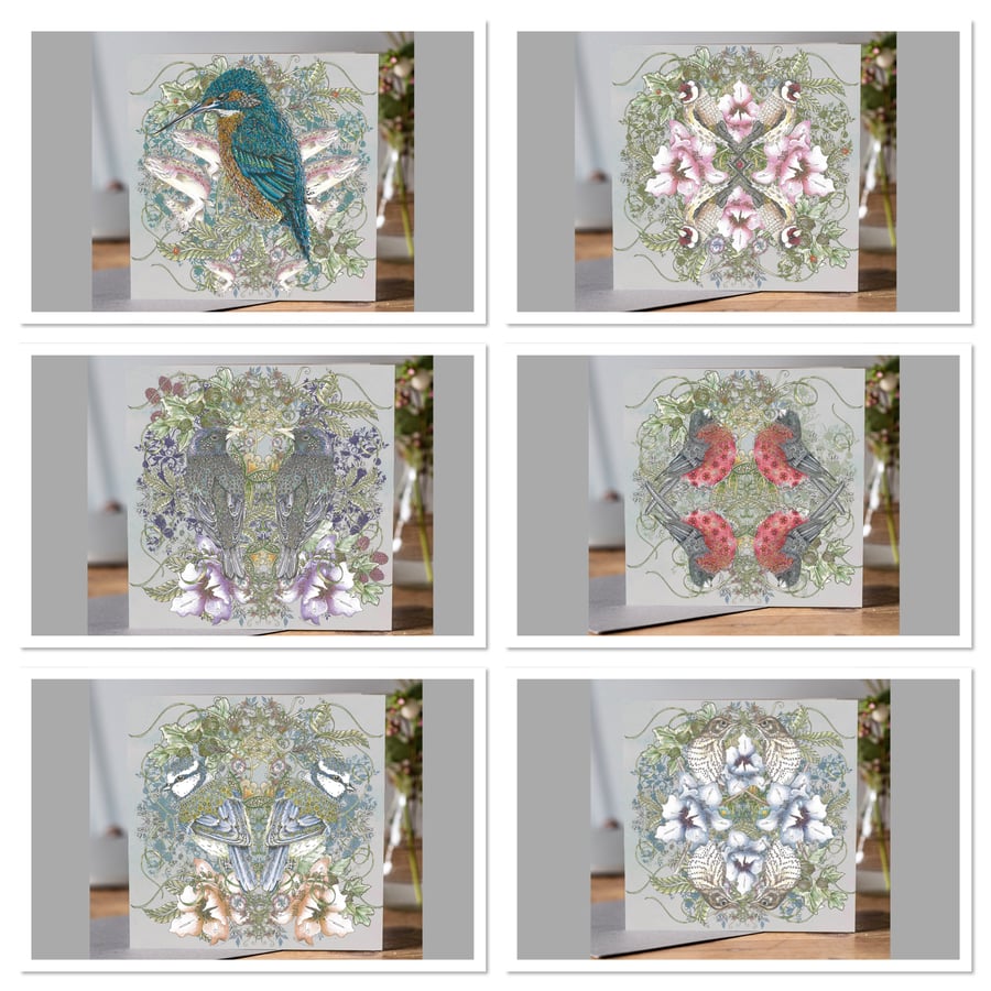 6 x mixed Natural World British Birds greeting card pack grey background 