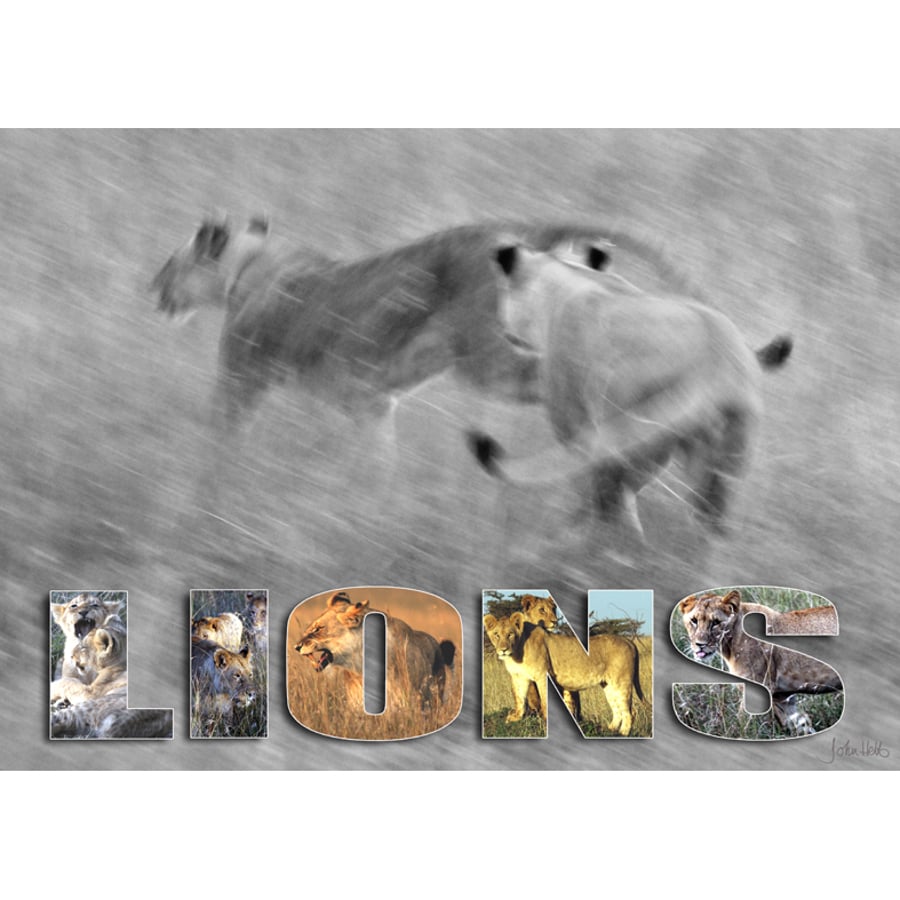 10 - 'THE CHASE 1' A3 POSTER