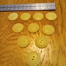 Packet of 10 quality opaque lemon BUTTONS for sewing and knitting projects