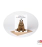 Koala & Bear Birthday Card, A6 Birthday Card, Cute Animal Birthday Card