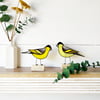 NEW Siskin