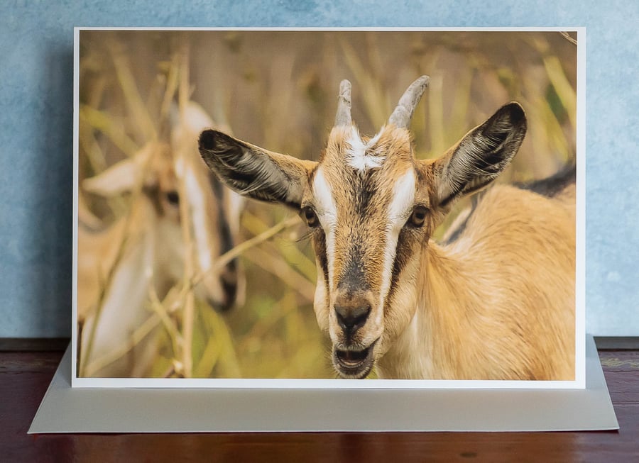 The Brave Goat A5 Blank Card