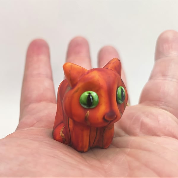 Small Cat Companion Animal Orange