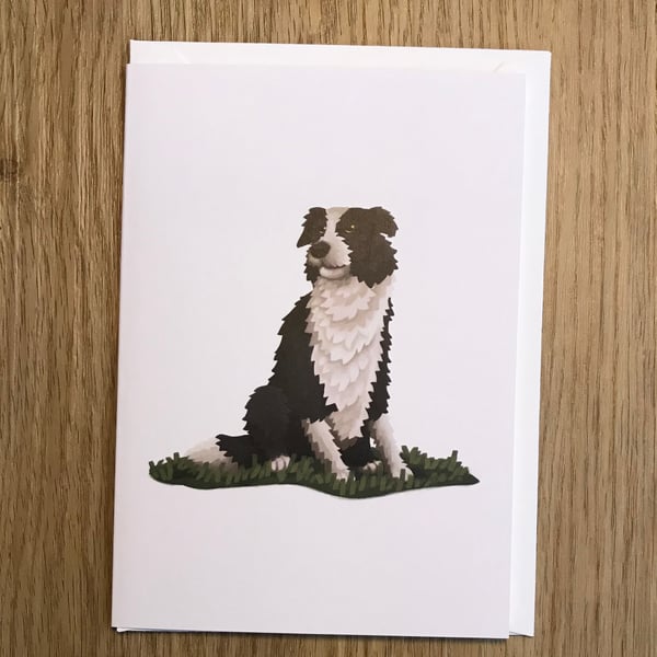 Border Collie Dog blank greeting card