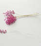 (FS21G Rose Pink) 10 Stems Handmade Crystal Bead Leaf Sprays with Gold Stems