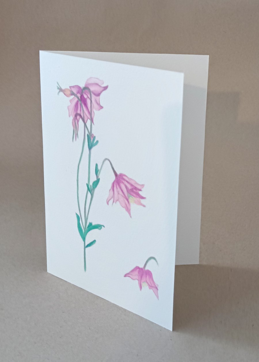 Columbine "pink fairy flowers" blank inside card and gift box of cards