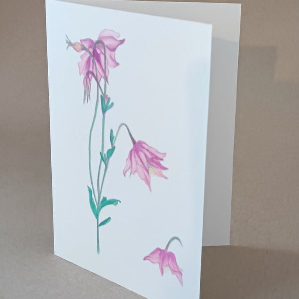 Columbine "pink fairy flowers" blank inside card and gift box of cards