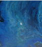 "Oceanic Enigma " Original Handmade Abstract Acrylic Painting