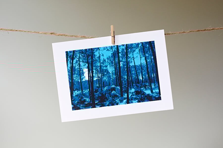 'Blue Woodland' greetings card