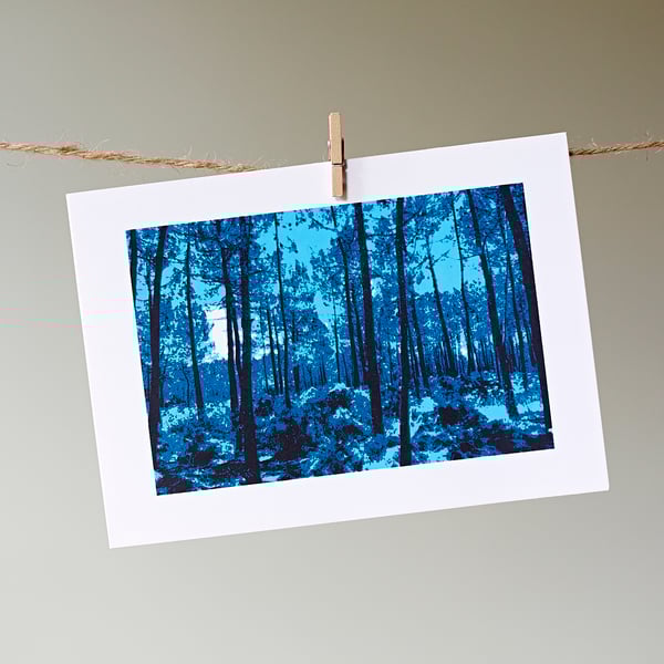 'Blue Woodland' greetings card