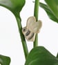 Bee Ceramic Plant Decoration Gift Card Letterbox Gift - Image 1
