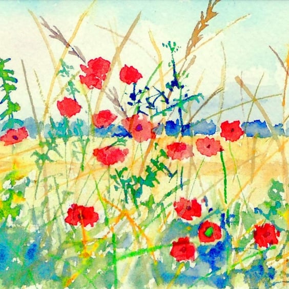 Framed  Watercolour of Wild Field Poppies : Impressionist Countryside Landscape