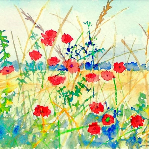 Framed  Watercolour of Wild Field Poppies : Impressionist Countryside Landscape