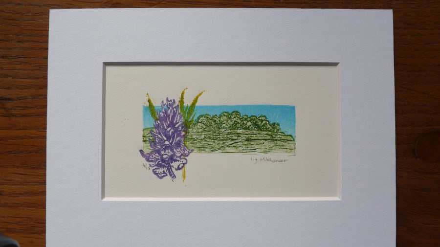 Original limited edition multi plate linocut " Badbury Orchid"