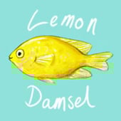 Lemon Damsel