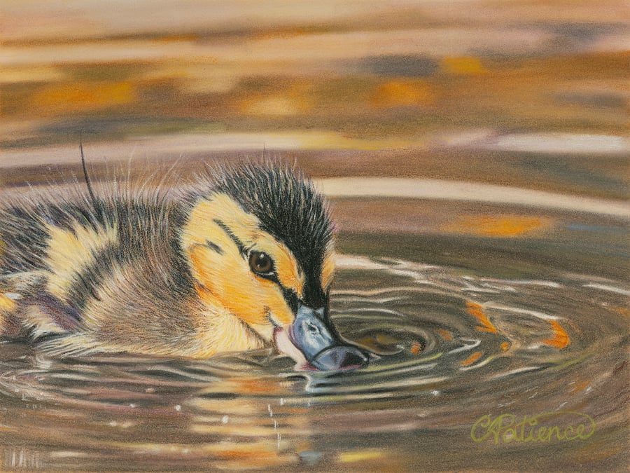 'Restful Ripples' - 5x7 - signed limited edition giclee print