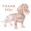 Hattie the Dachshund - Thank You Card