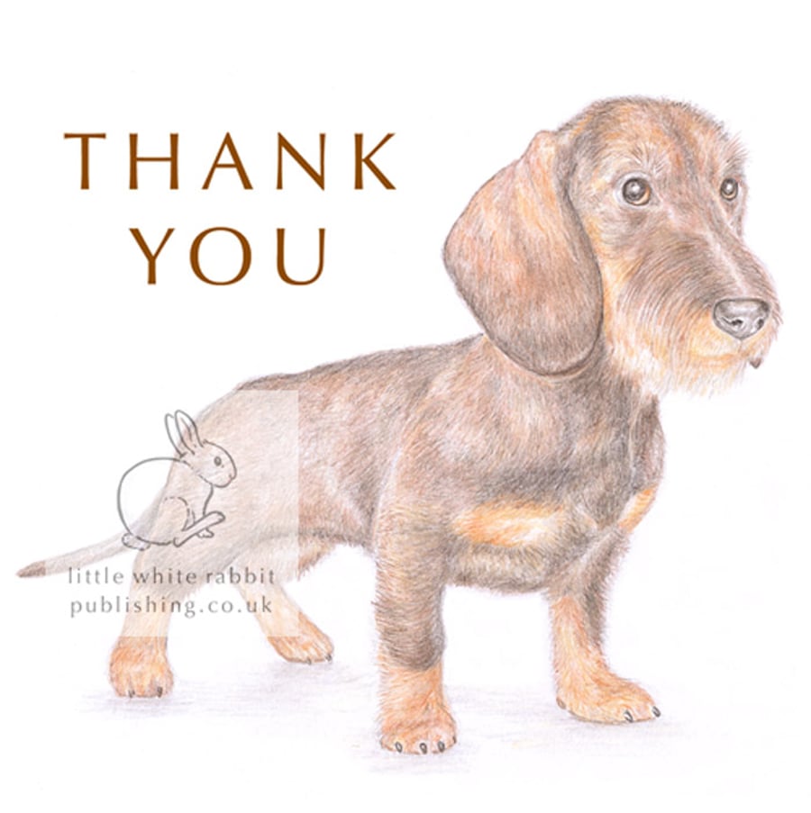 Hattie the Dachshund - Thank You Card