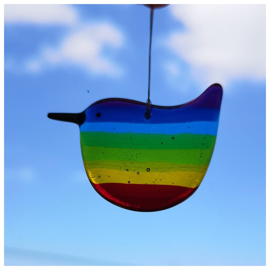 extra small Rainbow Wren of Hope bird with purple tipped tail