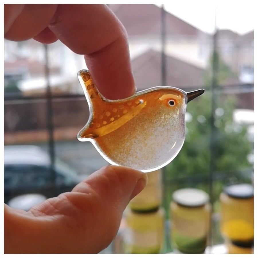 glass wren