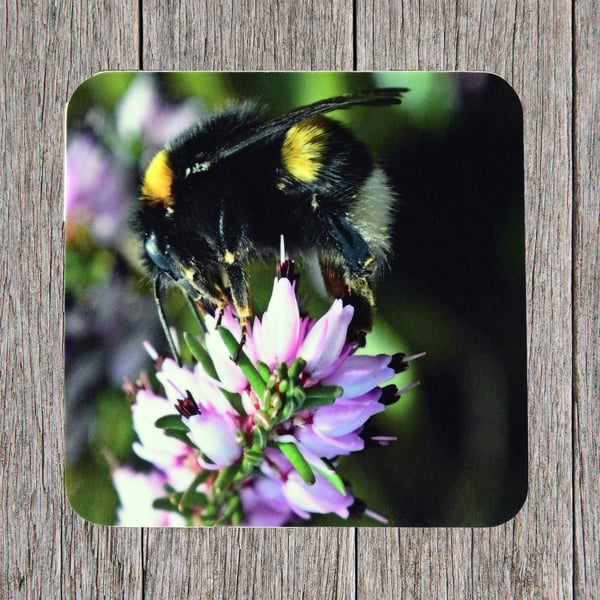 Coasters. Bee on Heather plant.Photo image cork backed.