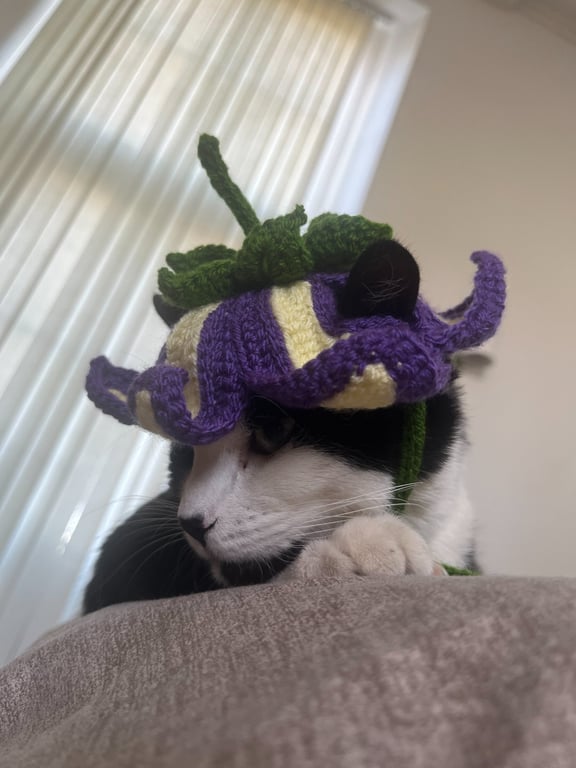 Crochet Pet Flower Hat
