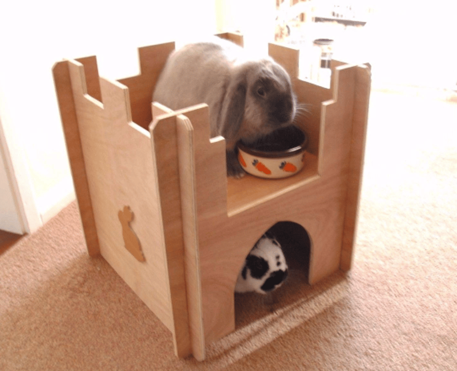 Rabbit Castle, Shelter