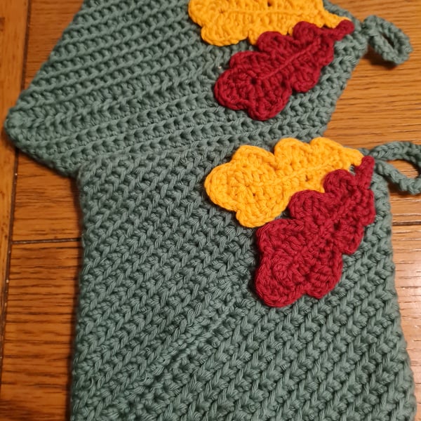Pack of 2 potholders