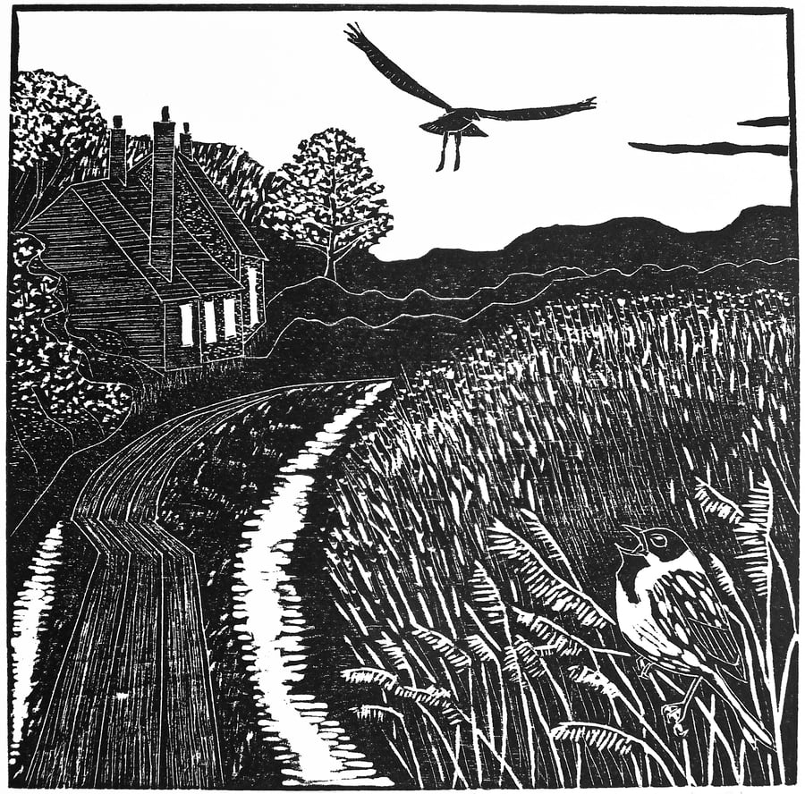 Harrier at Dusk - Limited Edition Woodcut - Original Art for Wildlife lovers