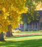 autumn trees romantic wooden hut cottage landscape housewarming new home gift - Image 2