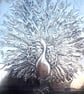 Peacock wall art - Image 5