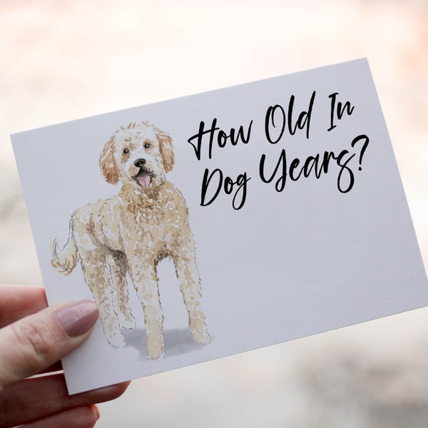 Golden Doodle Dog Birthday Card, Dog Birthday Card, Personalized Dog Breed Card