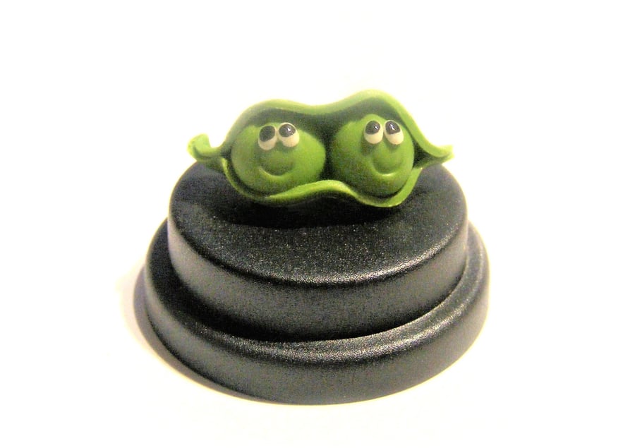 Pet Peas in a Pod,  Gift for best friend, Siblings gift, BFF gift, gift for twin